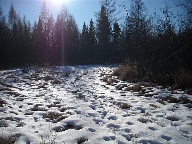2nd image of XXX Birch Dr