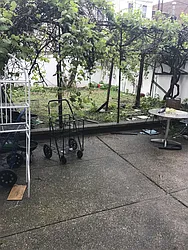 Rented by CIMINO CONO