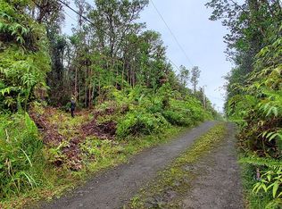 Road 2 #D, Mountain View, HI 96771