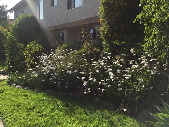 4th image of 18545 Burbank Blvd