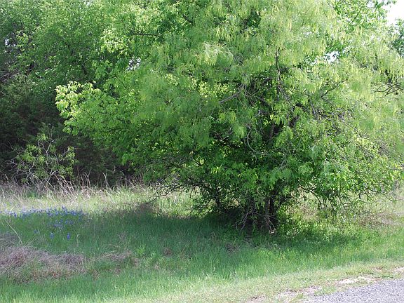 3rd image of 45011 Fringewood Dr