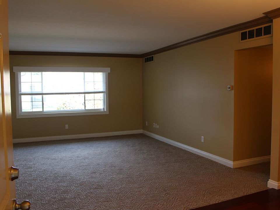 Tons of natural light/ Crown Moldings