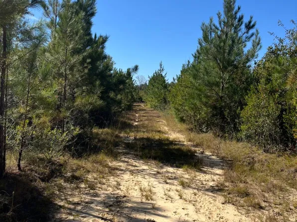 0 Lou Howard Rd, Citronelle, AL 36522