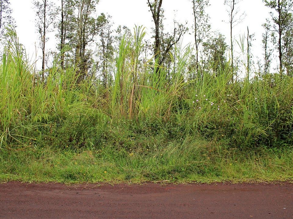 1st image of Orchid Dr Lot 7