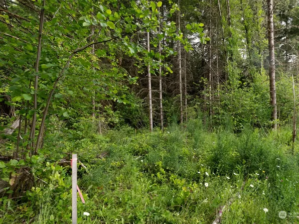 0 Avery Road W, Winlock, WA 98596