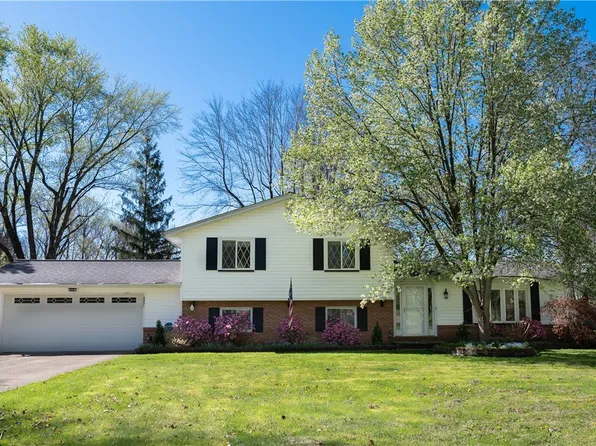 6951 Springledge Rd, Northfield, OH 44067