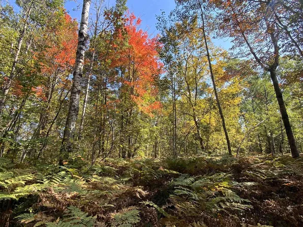 135 Montrose Dr, Mancelona, MI 49659