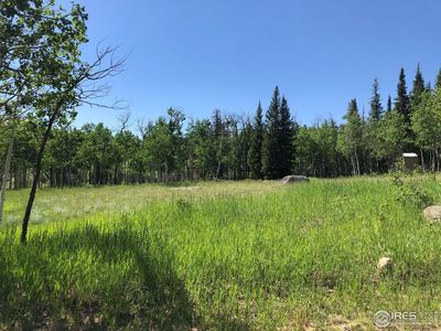 397 Tesuque Trl, Red Feather Lakes, CO, 80545