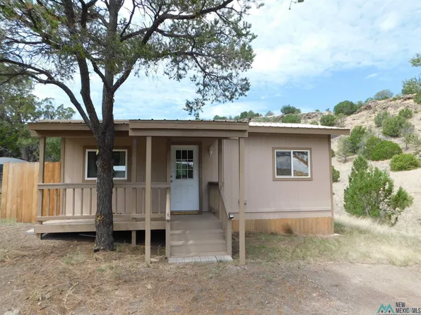28 Cowboy Pass, Quemado, NM 87829