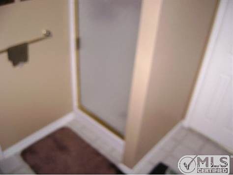 Master Bath Shower