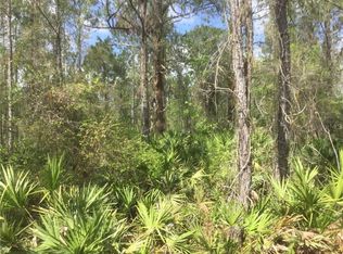 SW Nassau Ave, Arcadia, FL 34266