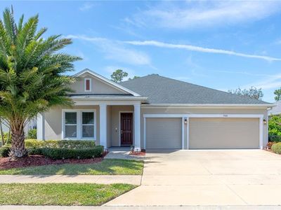 17680 Passionflower Cir, Clermont, FL, 34714