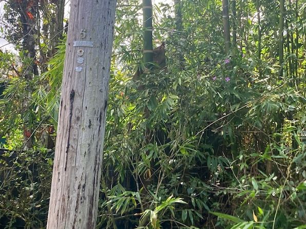 573 Kaku St, Pahoa, HI 96778