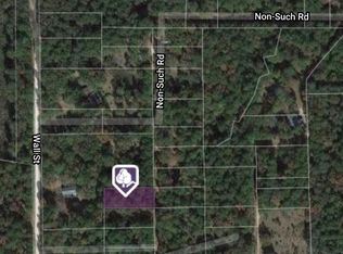 Non Such Rd, Livingston, TX 77351