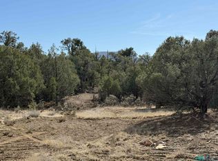 Christy Ln, Los Ojos, NM 87551