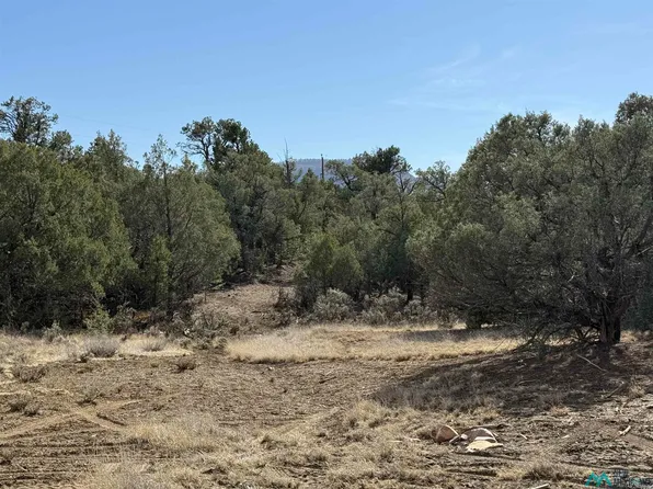 Christy Ln, Los Ojos, NM 87551