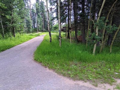 Highway 165 #NA, Rye, CO, 81069