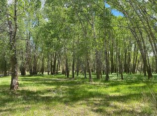 217 Tomkins Ln, Buena Vista, CO 81211