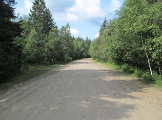 Vacant Deer Trl, Indian Lake, NY 12842