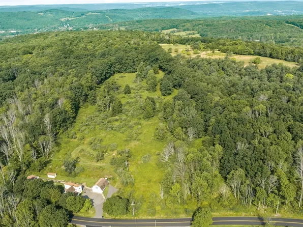 501 Bunn Hill Rd, Vestal, NY 13850
