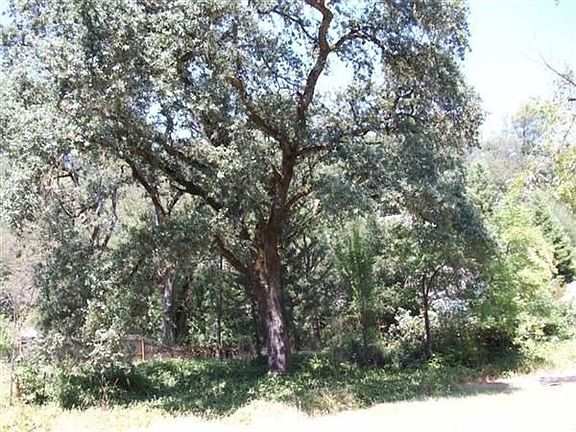 4th image of 221 Crestview Dr