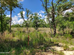 0 Hood Ave, Alford, FL 32420