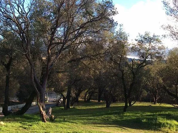 46057 Black Oak Rd, Coarsegold, CA 93614