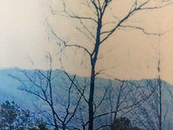 5th image of 1808 Spring Hill Dr