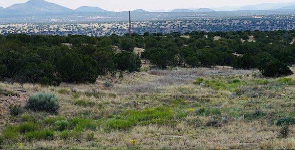 5th image of 6 Campo De La Vega