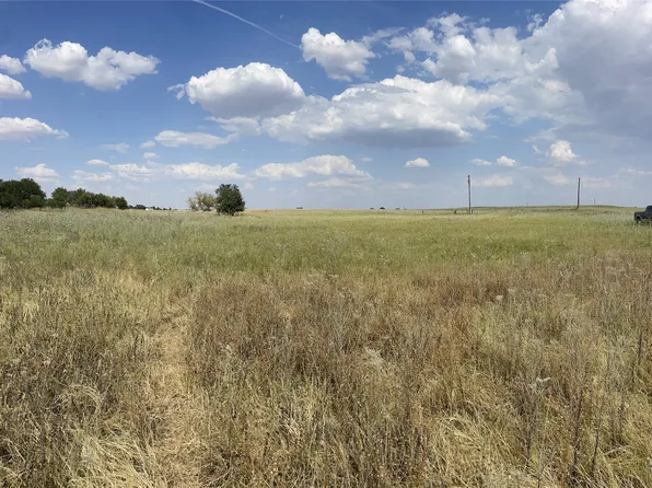 8 Blue Lacy Ln, Anson, TX 79501