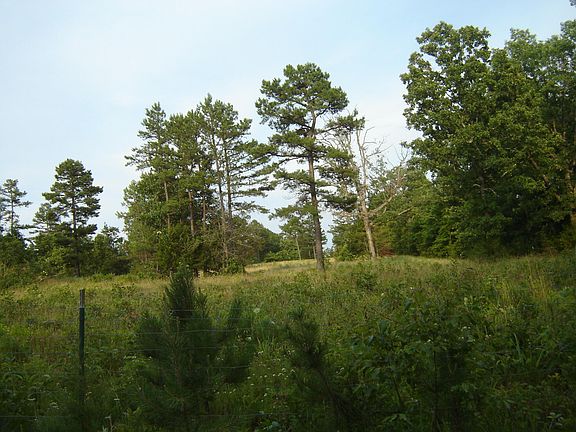 5th image of 000 Mooney Hollow Drive