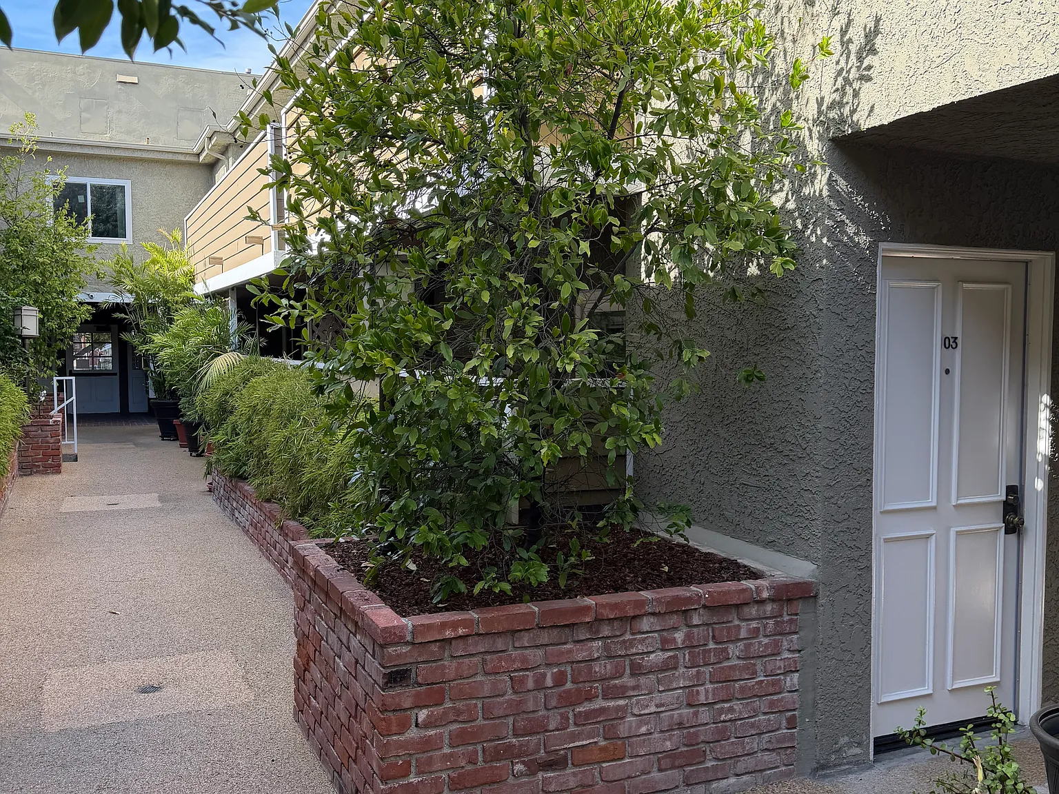 2 bed, 985 sqft, $2,500 — Photo 3