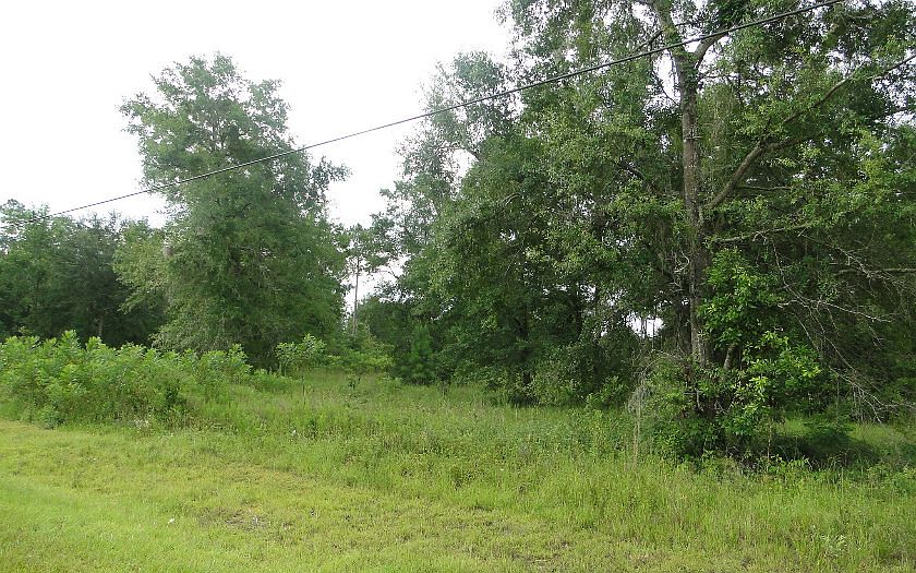2nd image of 202 SW Meadowlands Dr