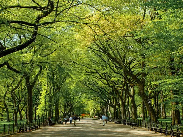 211 West 56th Street image 12 of 14