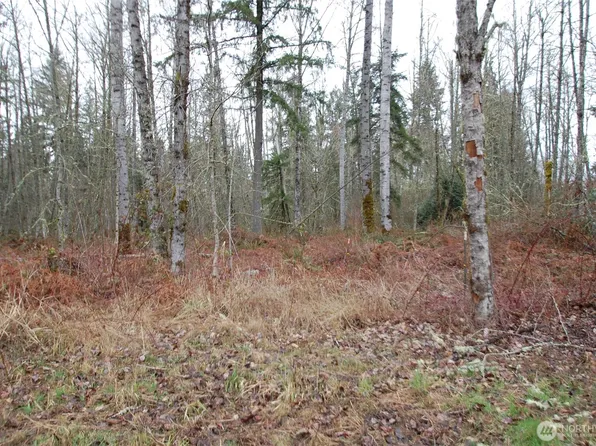 31809 116th Avenue E, Graham, WA 98338