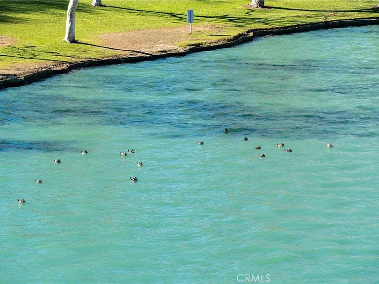 21 Lakefront — Photo 39