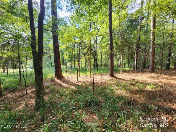 Krotzer Rd, Sardis, MS 38666