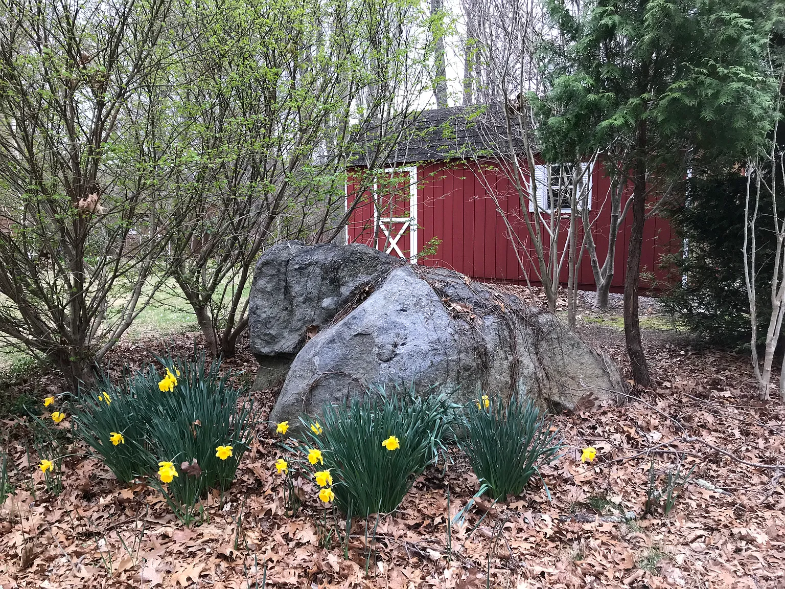 447 Boston Neck Rd — Photo 3