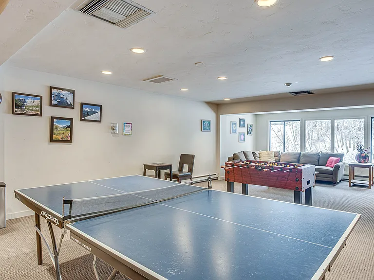 1650 Fallridge Rd #111 — Photo 23