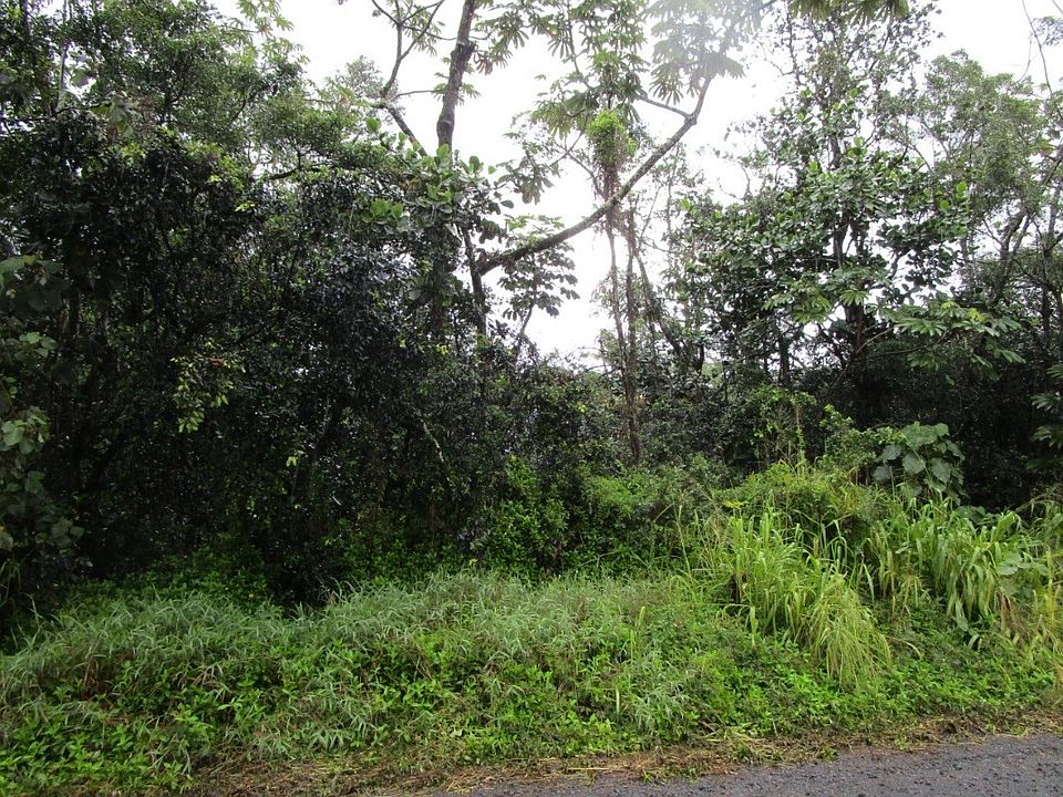 1st image of 11th Avenue Kika Lot 1539