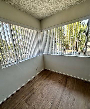 Living Room Windows