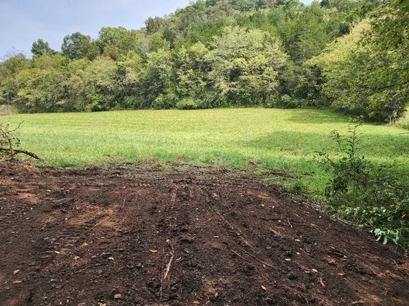 0 Webster Branch Ln Lot 5, Whitleyville, TN 38588