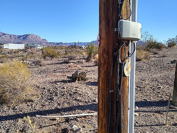 3rd image of 407 W Detrital Dr