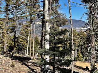 90 Zia Rd, Angel Fire, NM 87710