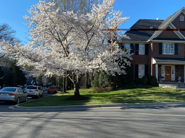 4404 36th St S, Arlington, VA 22206