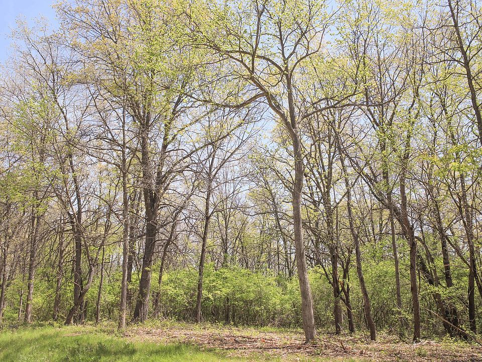 1st image of 704 Echo Trl Lot 21