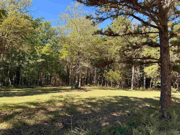 Thomas Rd, Clinton, AR 72031