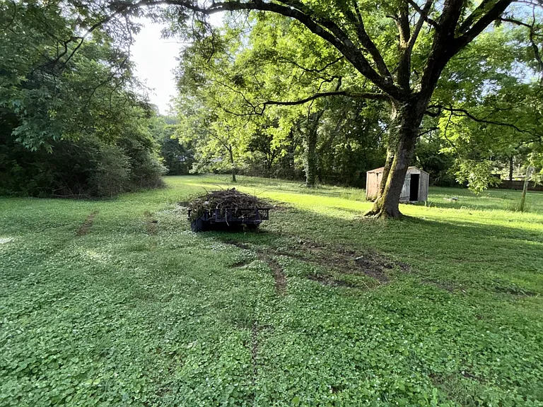 Backyard, situated on 1/2 of an acre.