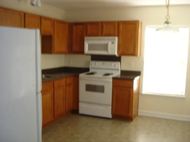 1567 Andora Dr — Photo 4