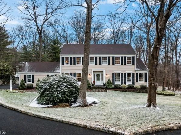 20 Laurel Hill Dr, Randolph Twp., NJ 07869